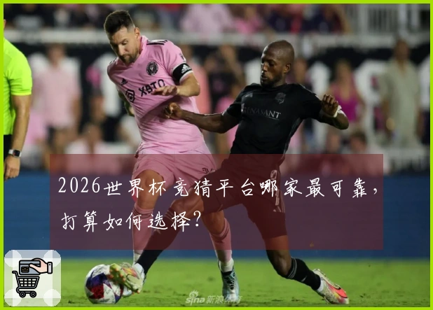 2026世界杯竞猜平台哪家最可靠，打算如何选择？