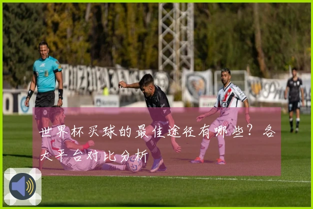 世界杯买球的最佳途径有哪些？各大平台对比分析