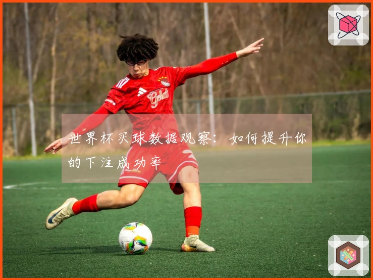 世界杯买球数据观察：如何提升你的下注成功率