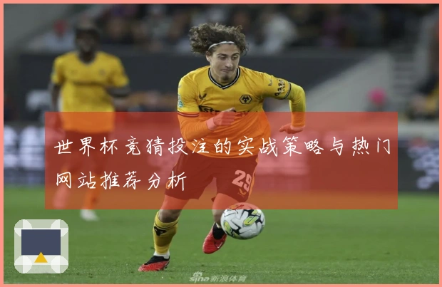 世界杯竞猜投注的实战策略与热门网站推荐分析