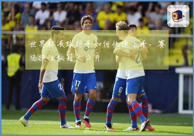 世界杯滚球新手如何快速上手，赛场投注秘籍大公开