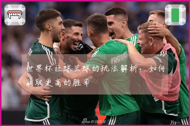 世界杯让球买球的玩法解析，如何获取更高的胜率