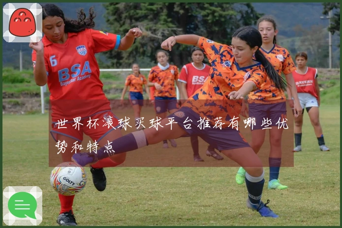 世界杯滚球买球平台推荐有哪些优势和特点
