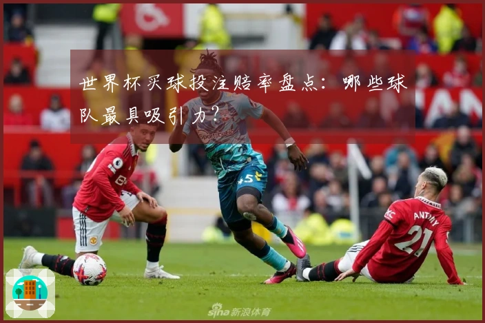 世界杯买球投注赔率盘点：哪些球队最具吸引力？