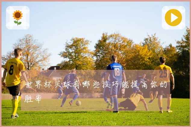 世界杯买球有哪些技巧能提高你的胜率