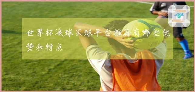 世界杯滚球买球平台推荐有哪些优势和特点