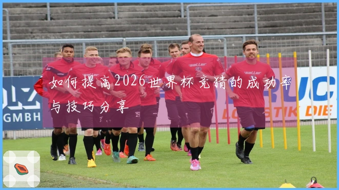 如何提高2026世界杯竞猜的成功率与技巧分享