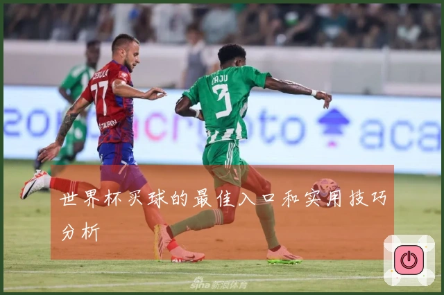 世界杯买球的最佳入口和实用技巧分析